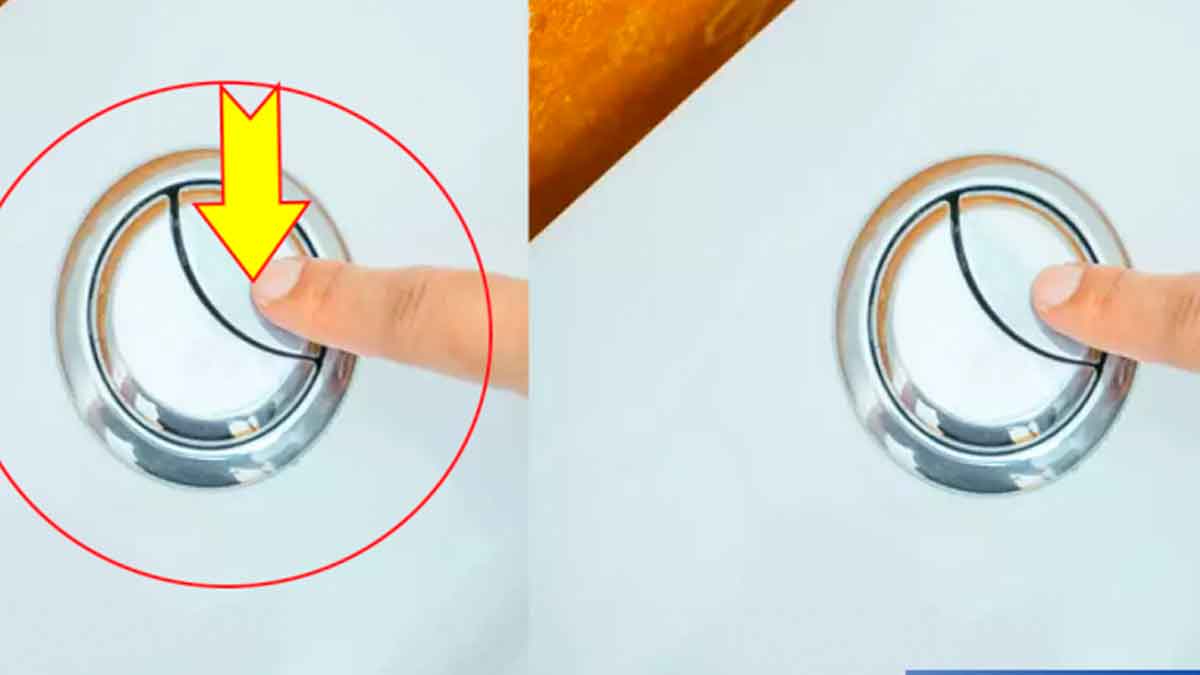 do you know why toilet flush has two buttons 