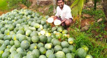 పుచ్చ‌కాయ‌ల రైతు దీర్ఘ‌కాలిక ప్ర‌ణాళిక‌.. అత‌ని కొడుకు పాటించ‌లేదు..