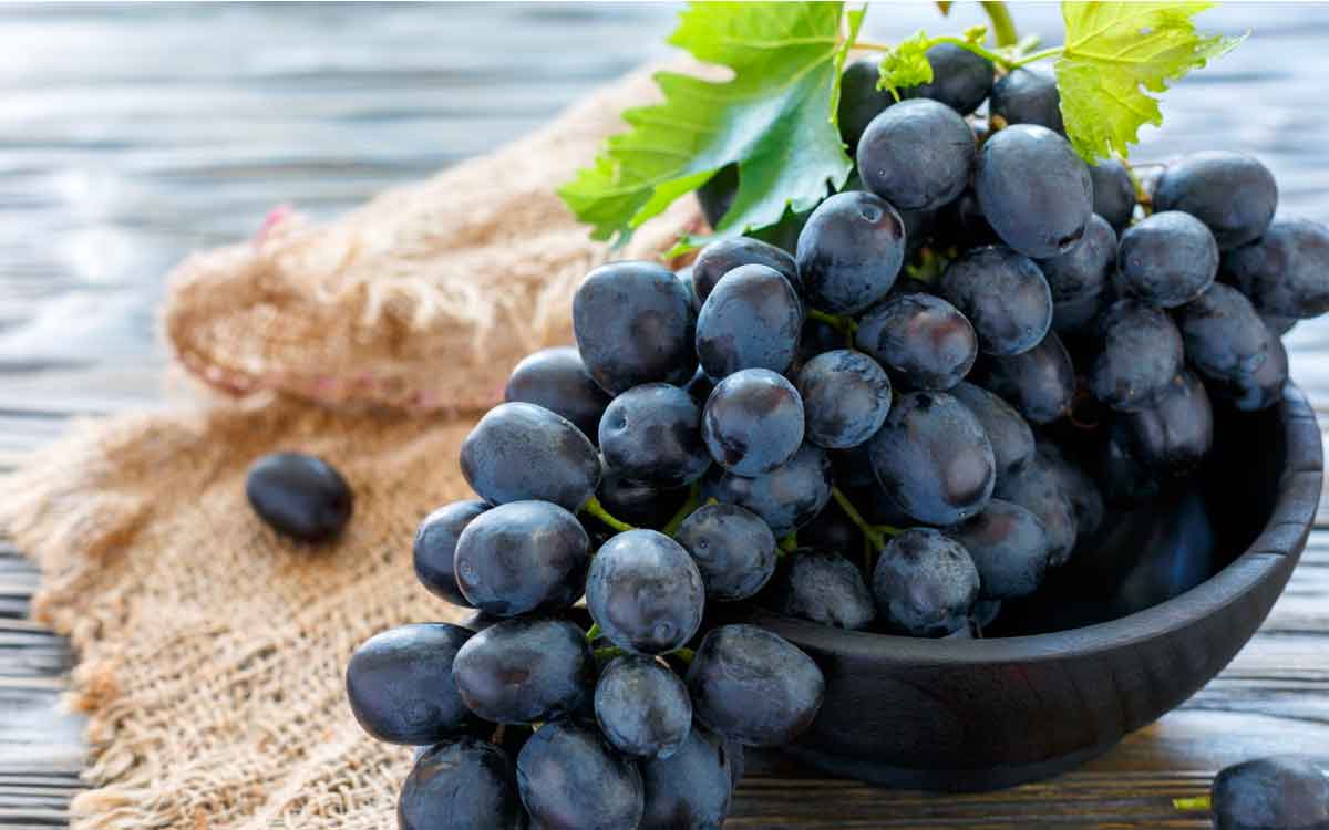 take black grapes regularly to control diabetes 