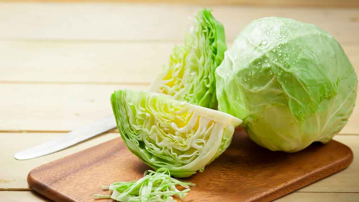 cabbage can prevent cancer say scientists 