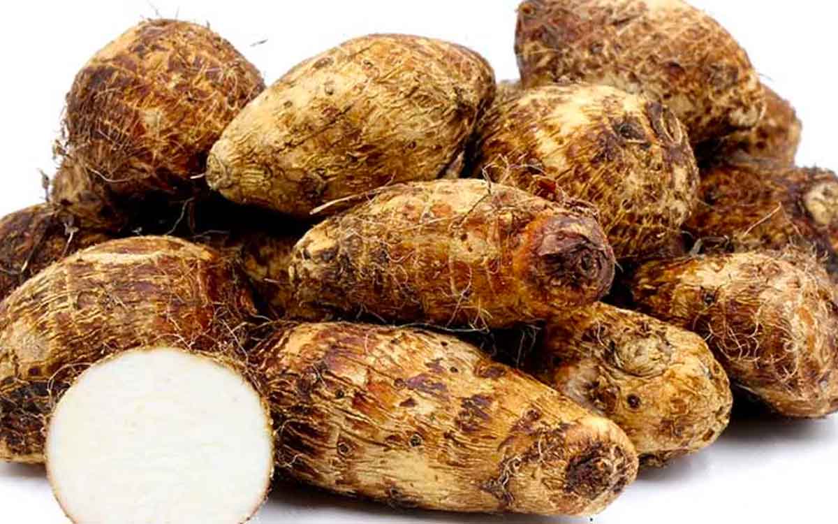 many wonderful health benefits of chama dumpa 