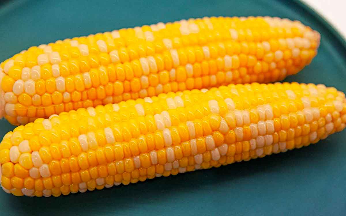 take corn for these wonderful health benefits 