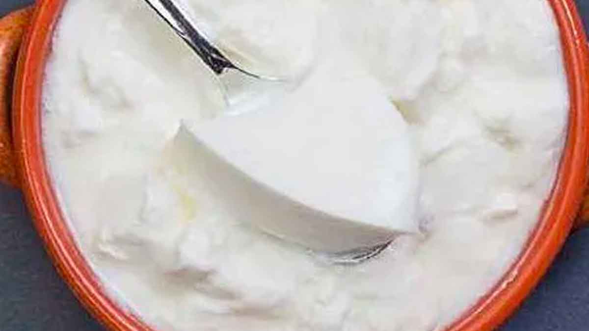 here it is how to make perfect curd 