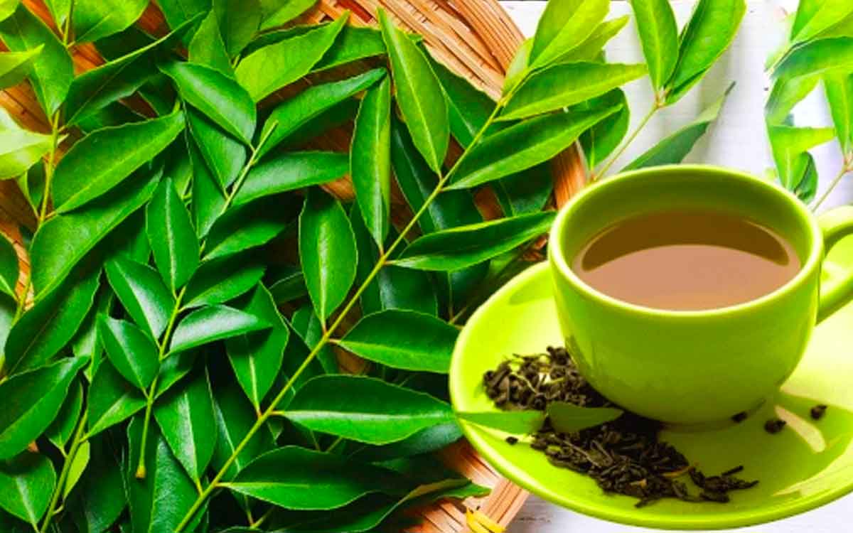 here it is how curry leaves tea is beneficial to us 