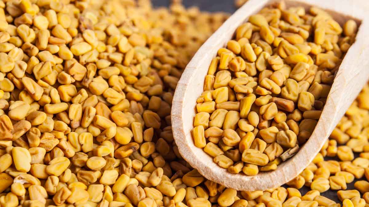 fenugreek seeds can control both high bp and blood sugar 