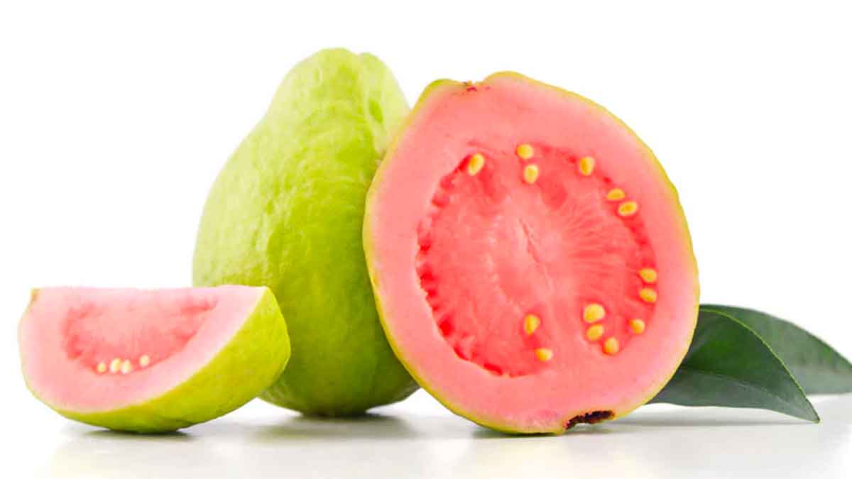 many wonderful health benefits of guava 