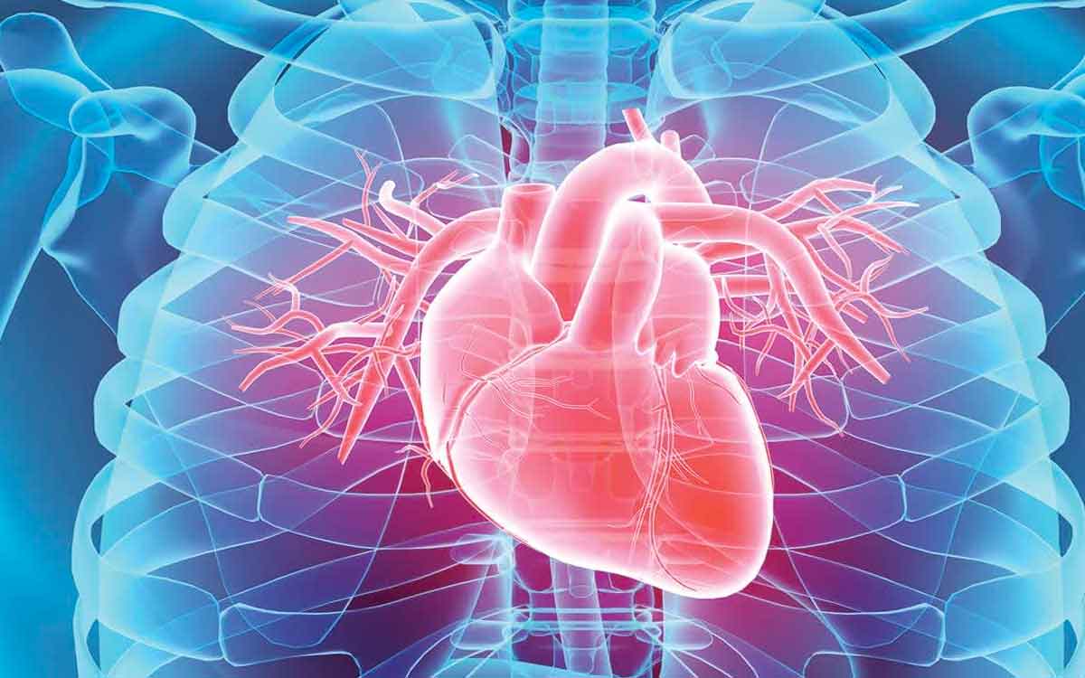 heart disease patients are increasing in india 