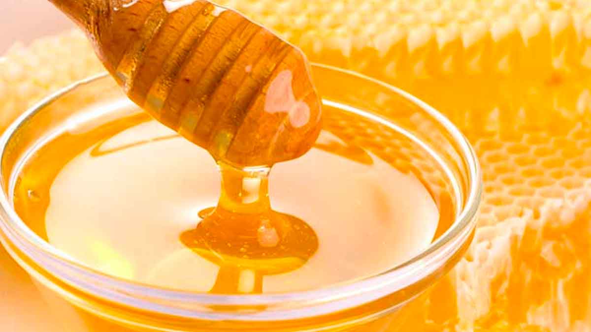 take honey in these ways for many health benefits 