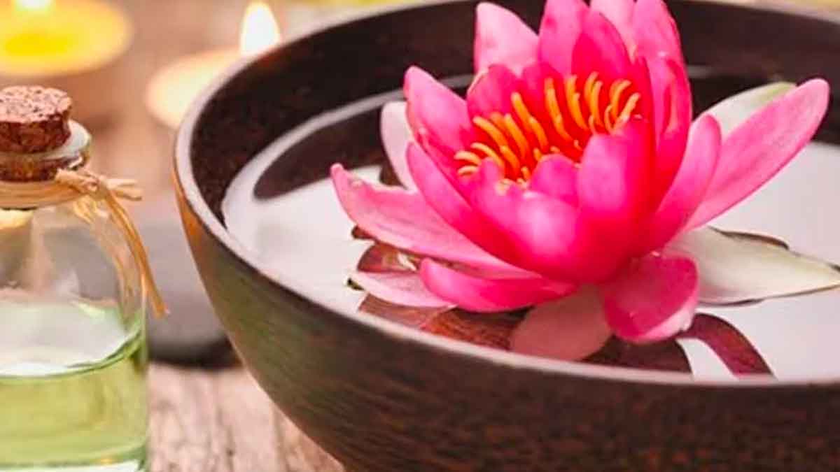 many wonderful health benefits of lotus oil 