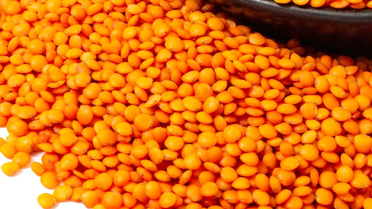 do you know once masoor dal is prohibited in india 