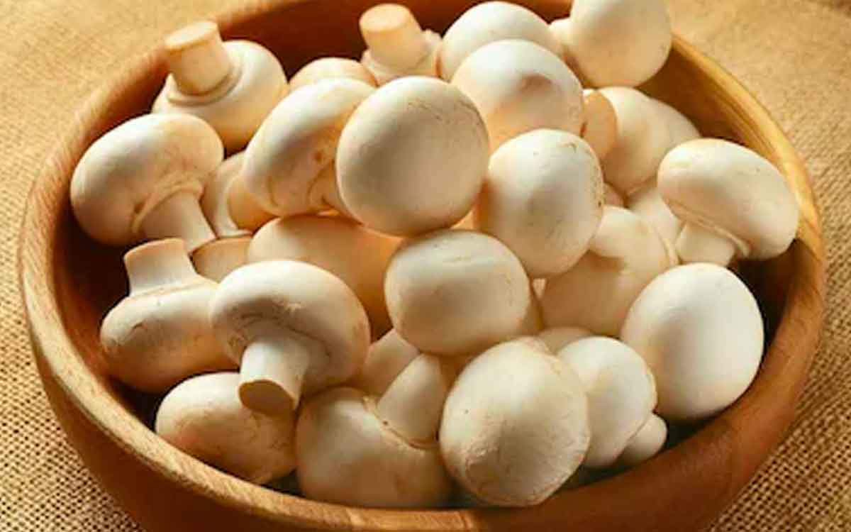 if you have these health problems you must take mushrooms 