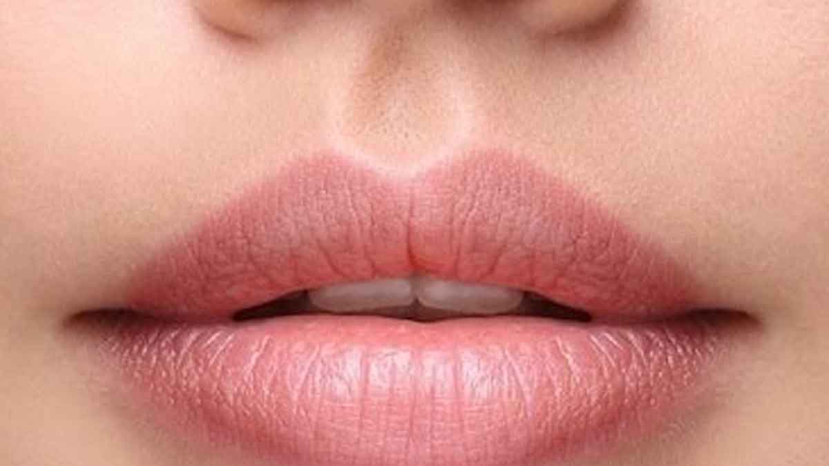 what is the name of the place between nose and lips 