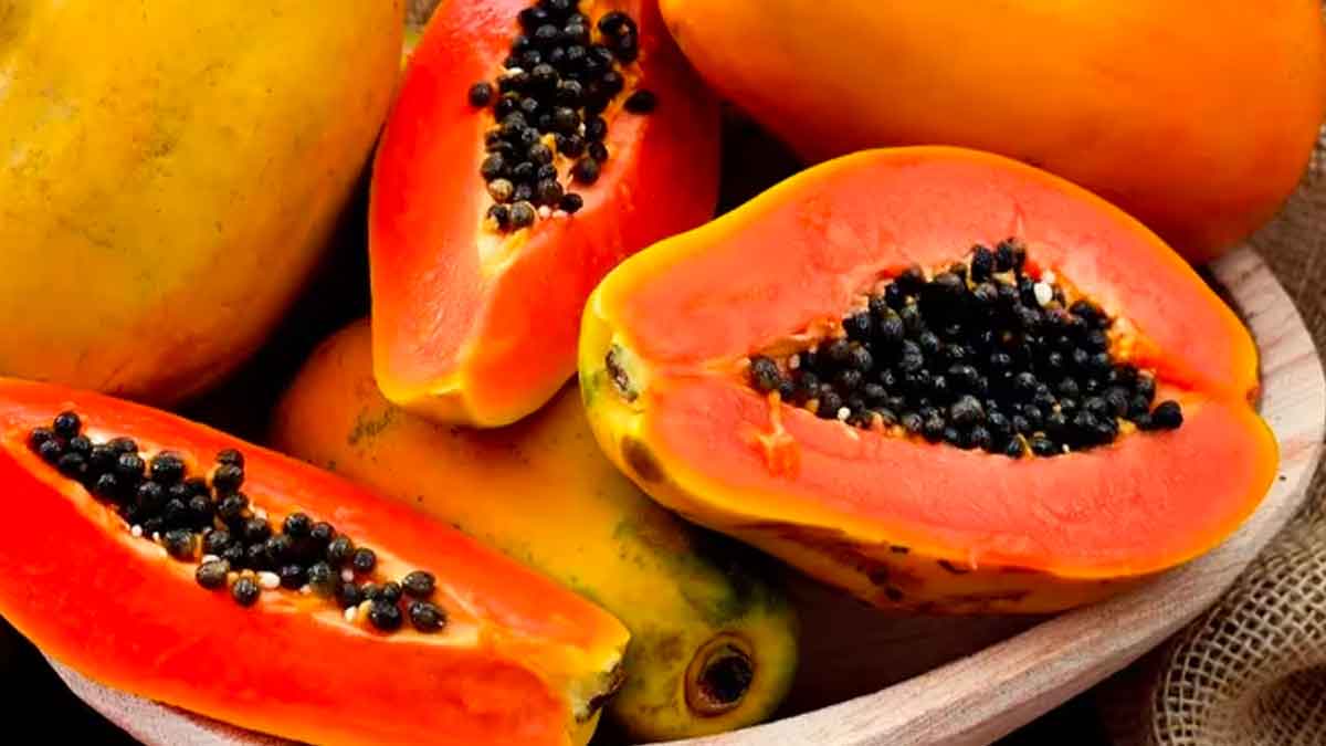 you must include papaya in your diet know why 