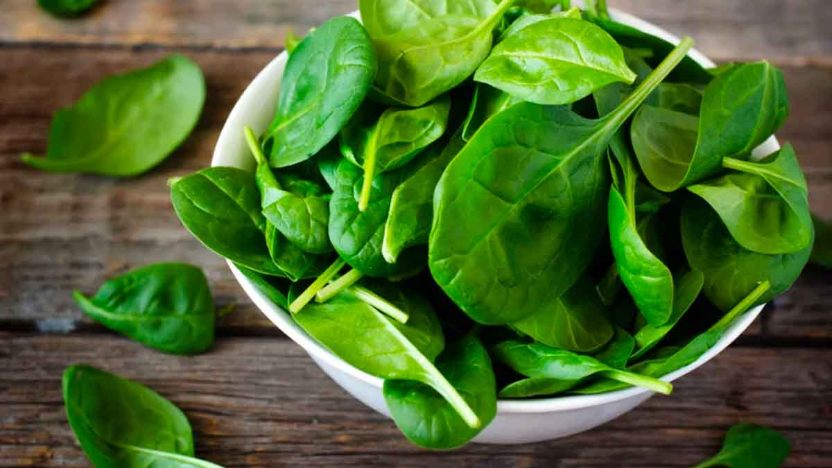 many wonderful health benefits of taking spinach daily 