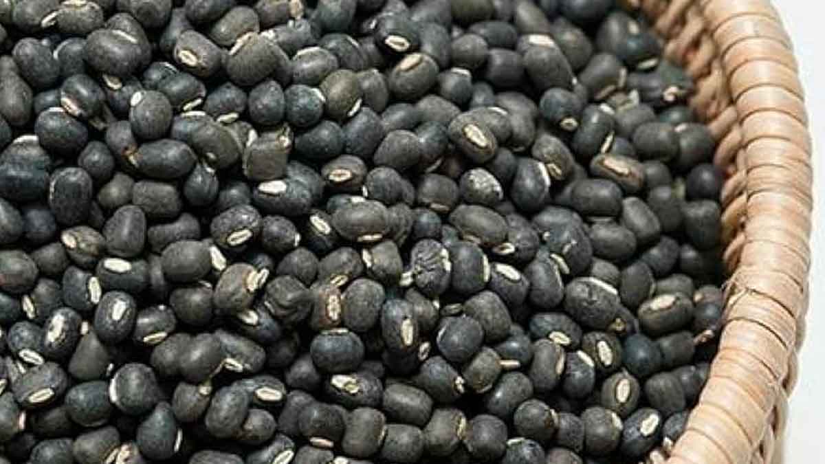 many wonderful health benefits of urad dal 