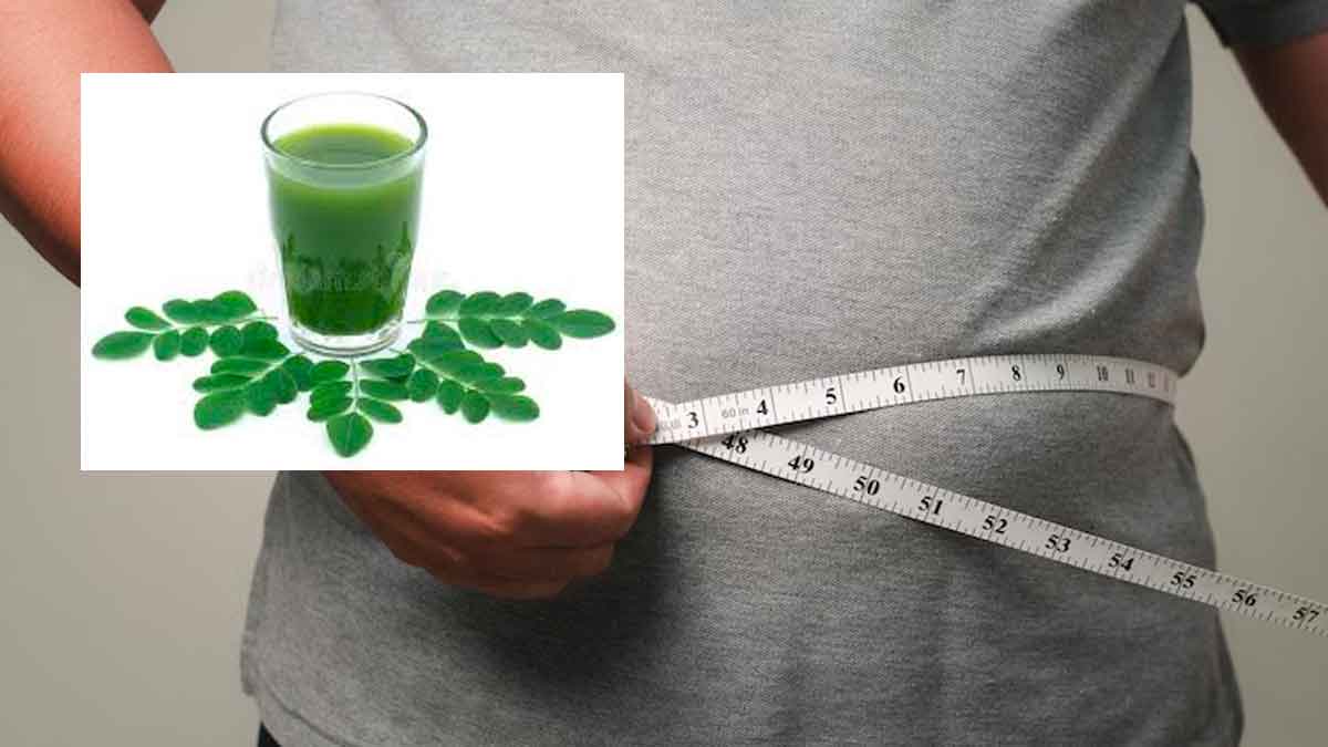 take moringa leaves juice for weight loss 