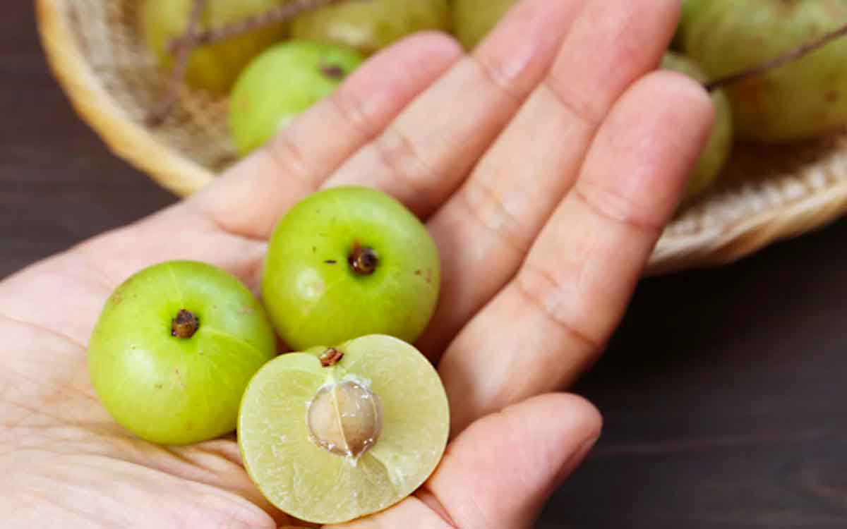 amla seeds are also very useful for us 