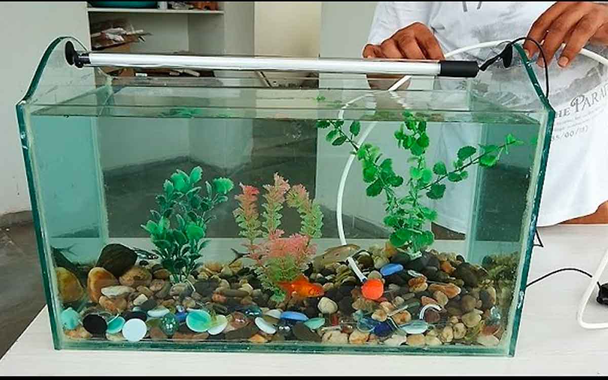 can we put aquarium in home according to vastu 