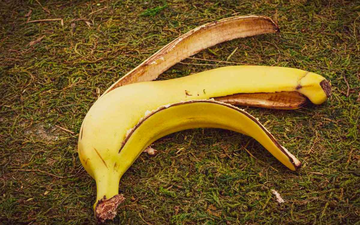 do not forget the health benefits of banana peel 