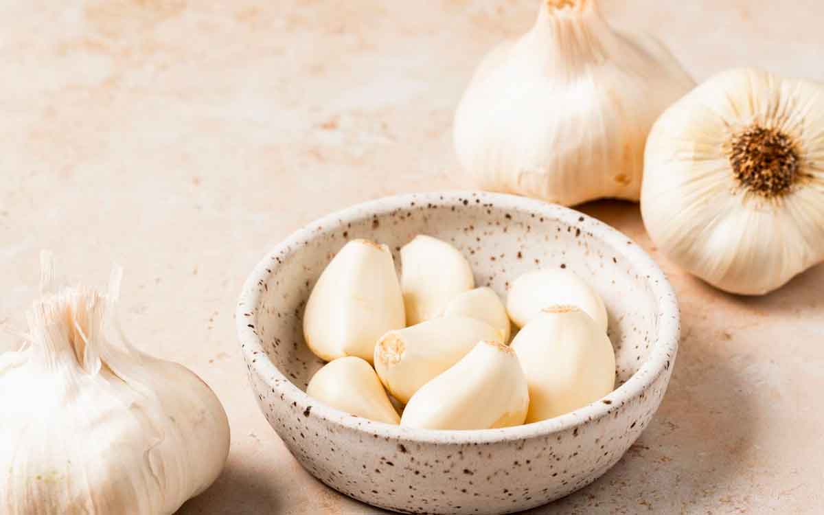 can we take garlic on empty stomach what ayurveda says 