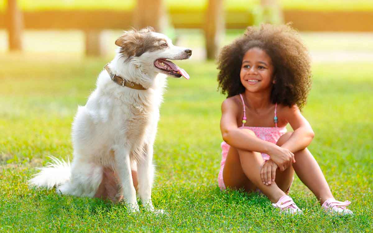 if you have kids and pets in your home follow these tips 