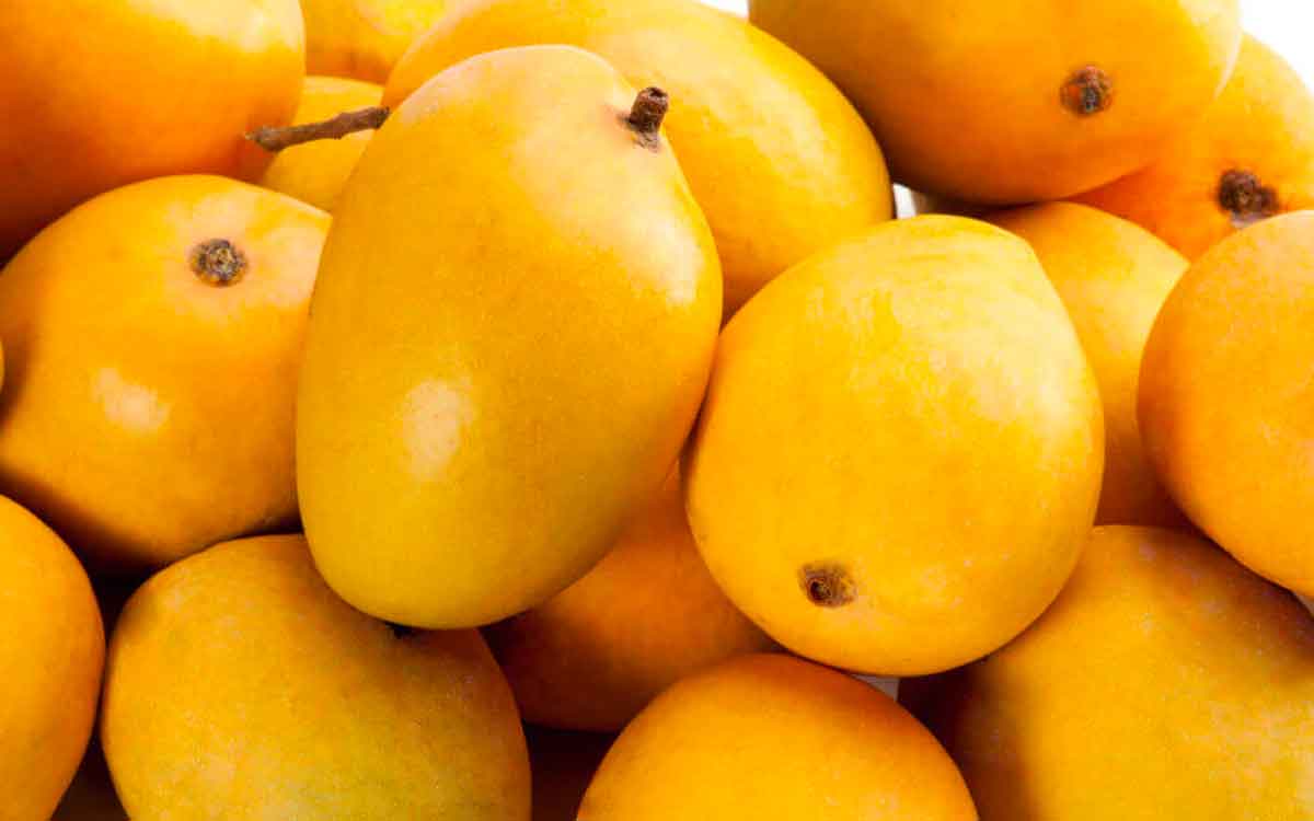 can diabetics eat mangoes what doctors say 