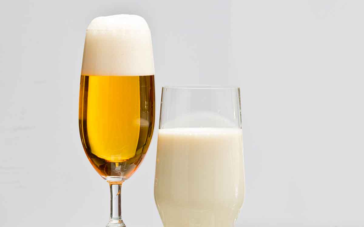 beer is more healthier than milk scientists say 