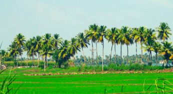 ఆకుప‌చ్చ‌ని ప‌ల్లె -తురుత్తిక్క‌ర.. ప్ర‌పంచం త‌న వైపు చూసేలా చేస్తోంది..