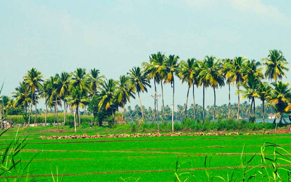 thuruthikara village in kerala attracts tourists 