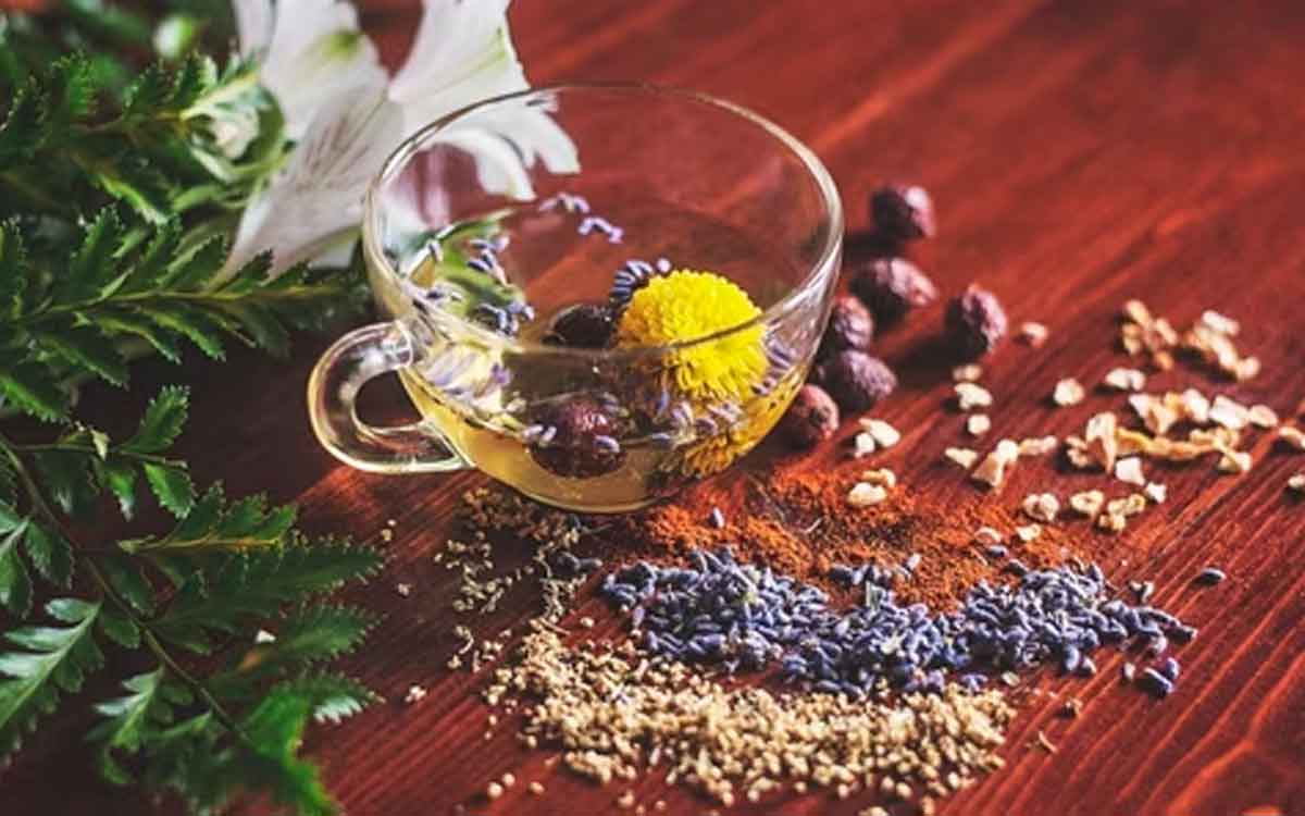 must share these all home remedies for common diseases 