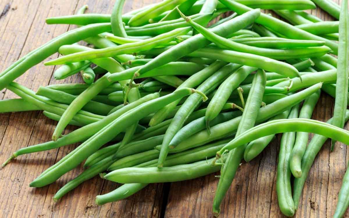 we must take these foods daily know the reasons 