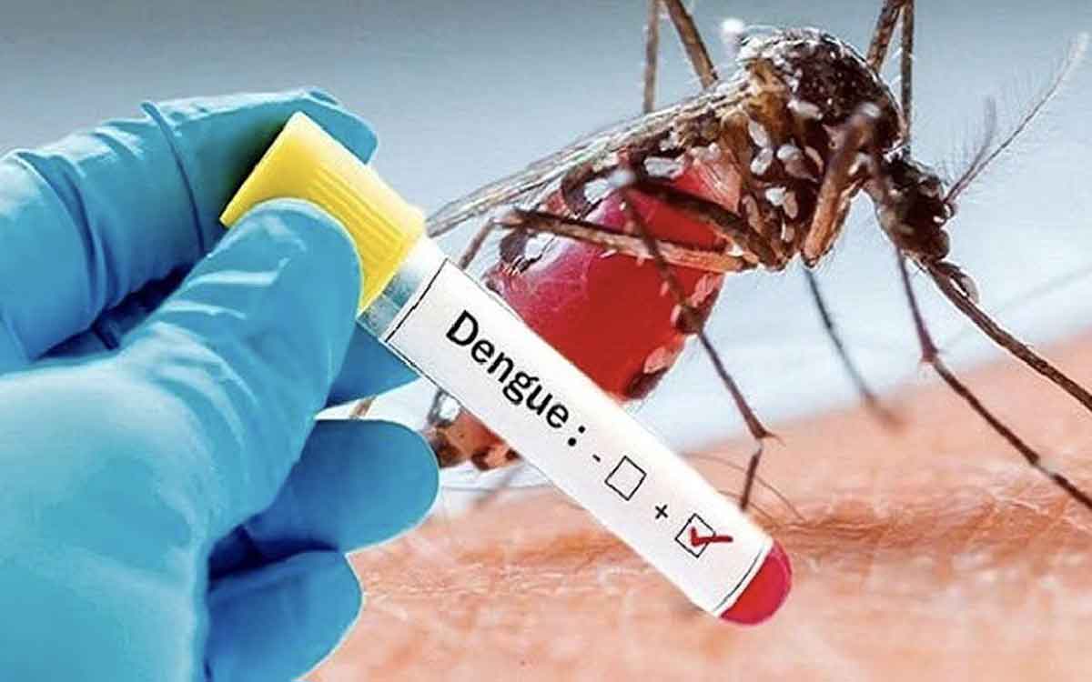 if you have dengue do like this 