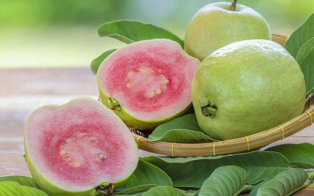 put guava as naivedyam to god like this to get rid of problems 