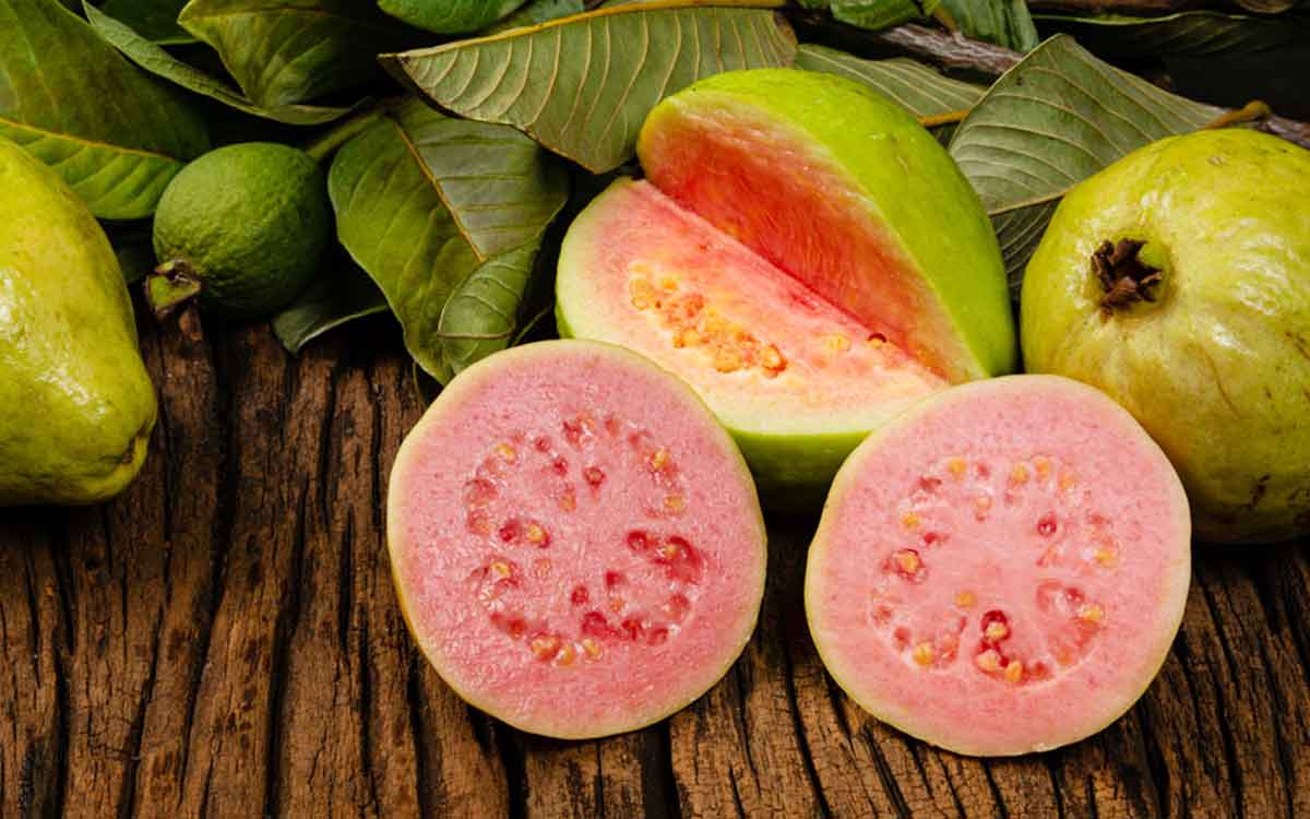 what happens if you offer guava as naivedyam to god 