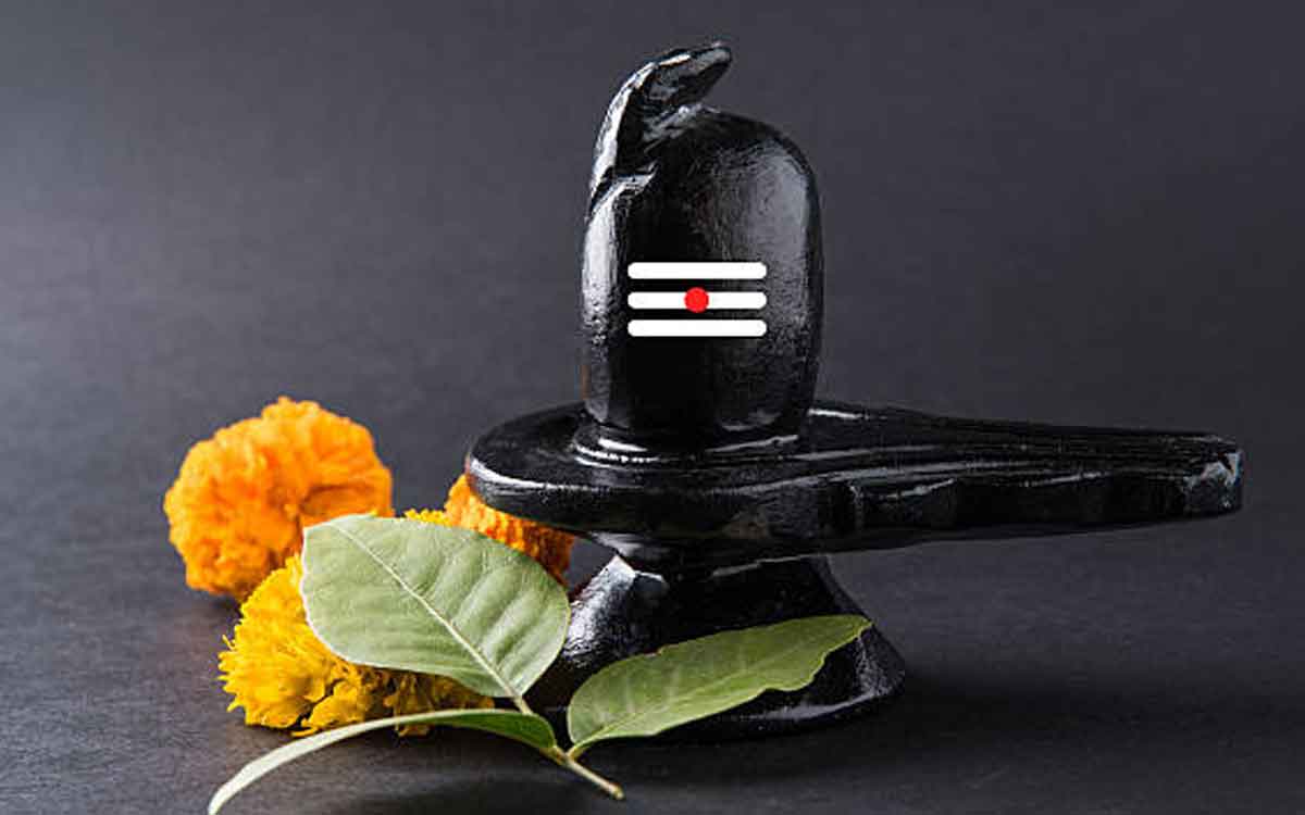 why lord shiva appears in only ling form 