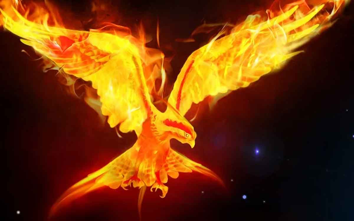 phoenix bird is it real or fake 