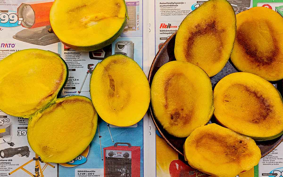 what happens if you have eaten spoiled mango 