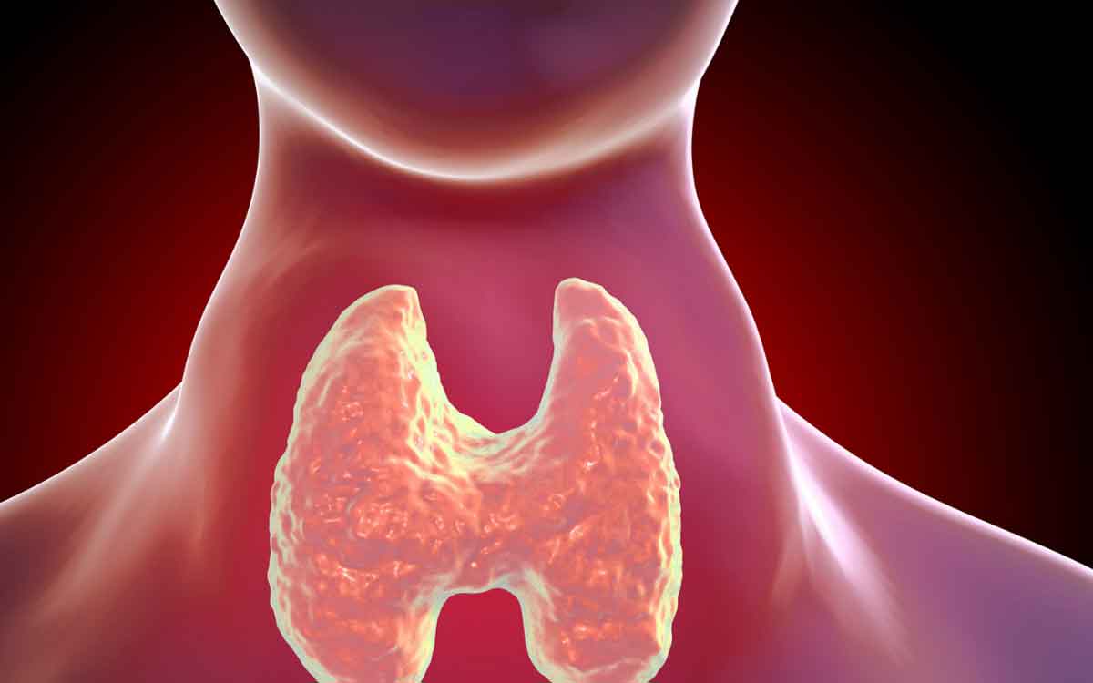 if you have thyroid problem take these foods 