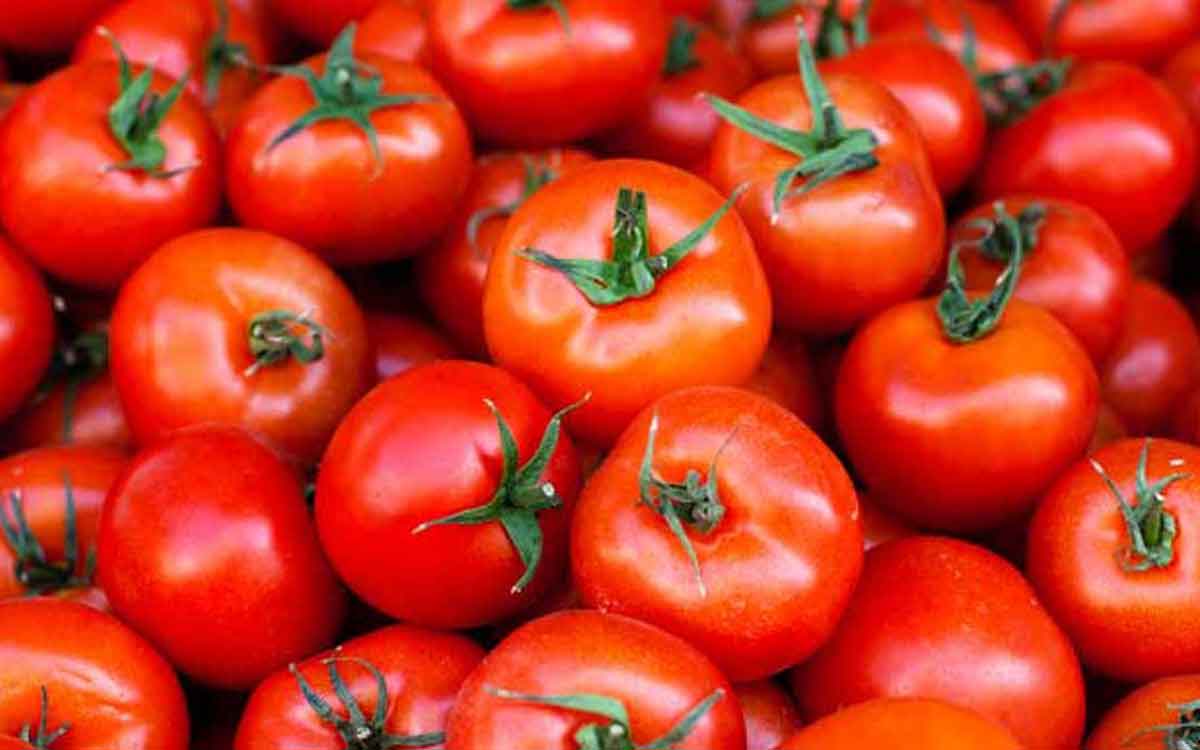 do not forget to take tomatoes daily know the reasons 